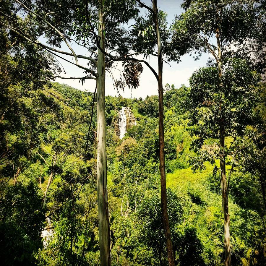 Waterfalls Homestay Ella Exteriér fotografie